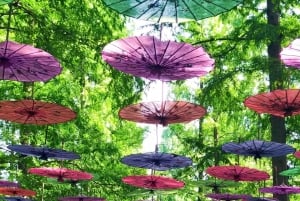 Shanghai to Chongming: Ecology, Culture & Hands-on Tour