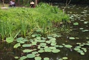 Shanghai to Chongming: Ecology, Culture & Hands-on Tour