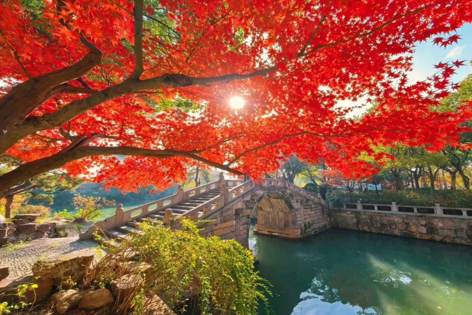 Da Shanghai a Suzhou: tour privato di un giorno con il treno proiettile