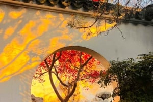 Da Shanghai a Suzhou: tour privato di un giorno con il treno proiettile