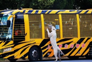 Xangai: Ingresso para o Parque dos Animais Selvagens