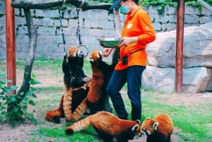 Xangai: Ingresso para o Parque dos Animais Selvagens