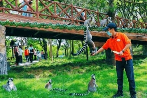 Xangai: Ingresso para o Parque dos Animais Selvagens