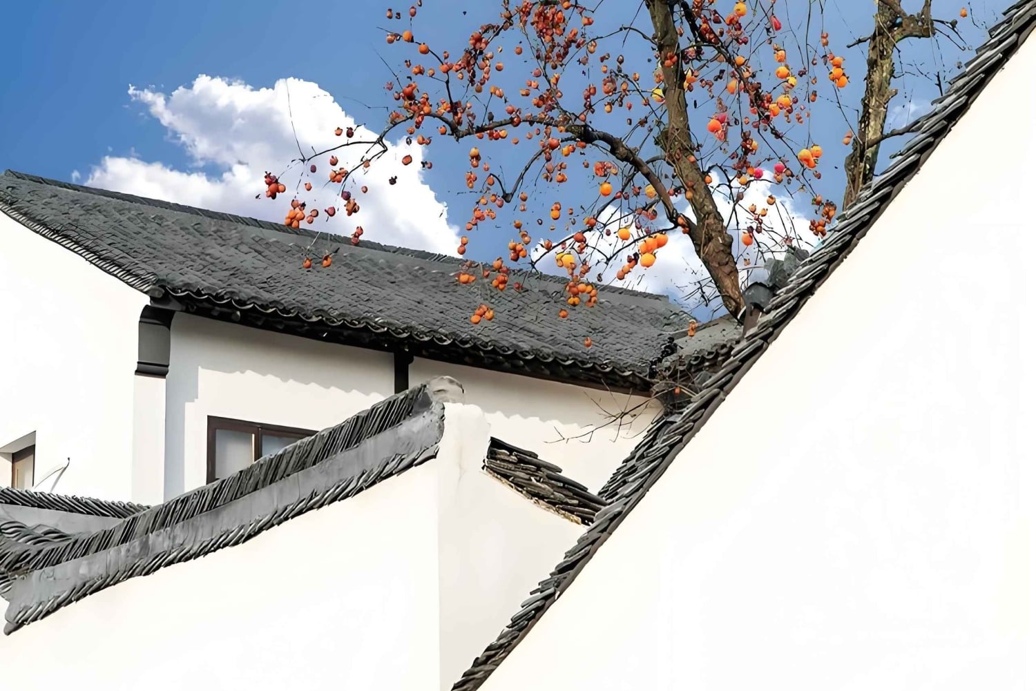 Shanghai: Wuzhen West Scenic Area & Wucun dagstur