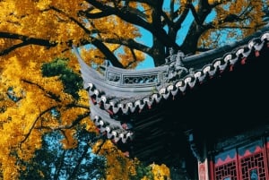 Shanghai: Yu Garden Eintrittskarte