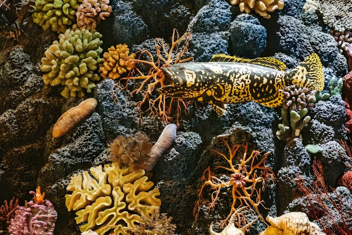 Xangai: Jardim Yu, Templo do Deus da Cidade e passeio de barco no rio