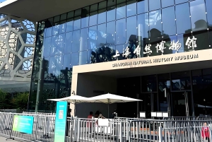 Shanghai: Yu Garden, Stadsgudens tempel och flodkryssningstur