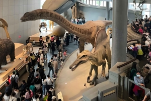 Shanghai: Yu Garden, Stadsgudens tempel och flodkryssningstur