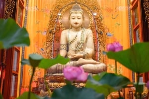 Shanghai: Yu Garden,Jade Temple, Bund&French Concession Tour