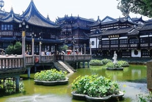 Shanghai: Yu Garden Ticket and Optional 1.5-Hour Guided Tour