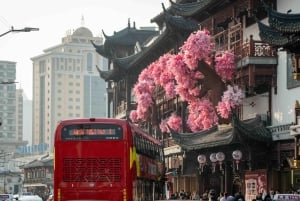 上海：ユユアン、シティゴッドテンプル旧市街ツアー（チップ制）
