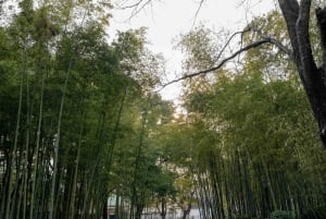 上海：ユユアン、シティゴッドテンプル旧市街ツアー（チップ制）