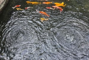 上海：朱家角水郷と書道体験