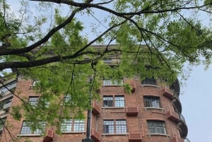 Andliga Shanghai: Longhua-tempelrundtur med matprovning