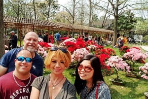 Escursione guidata privata a Suzhou da Shanghai con il treno proiettile