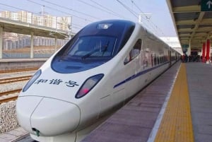 Escursione guidata privata a Suzhou da Shanghai con il treno proiettile