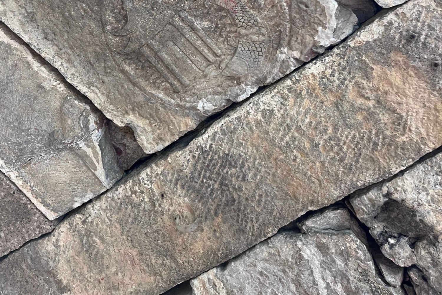 Suzhou og Tongli vannby – en dagstur fra Shanghai