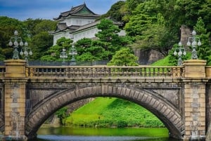 Shanghai Private Full or Half Day Sightseeing Tour