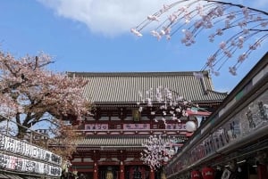Shanghai Private Full or Half Day Sightseeing Tour