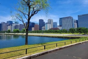 Shanghai Private Full or Half Day Sightseeing Tour