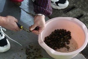 Water Town Zhujiajiao Shanghai: Boat Ride,Sights,Bites&Sips