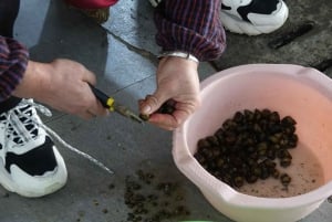 Vesikaupunki Zhujiajiao Shanghai: Sights,Bites&Sips...