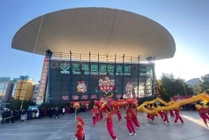 Tour del mercato internazionale di Yiwu da Shanghai