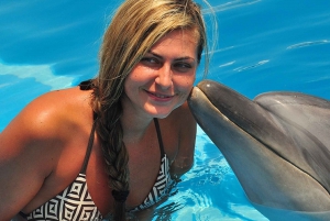30 Minutes Sharm El Sheikh Swimming with Dolphins