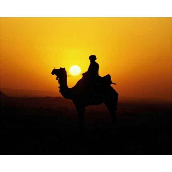 Camel Safari with Bedouin Dinner