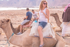 Coloured Canyon And Dahab Safari Trip