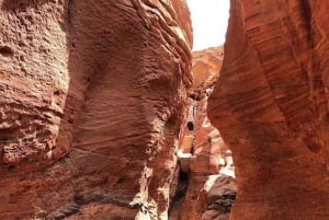 Dahab: Quad Biking, Snorkelling, Diving, and Camel Ride