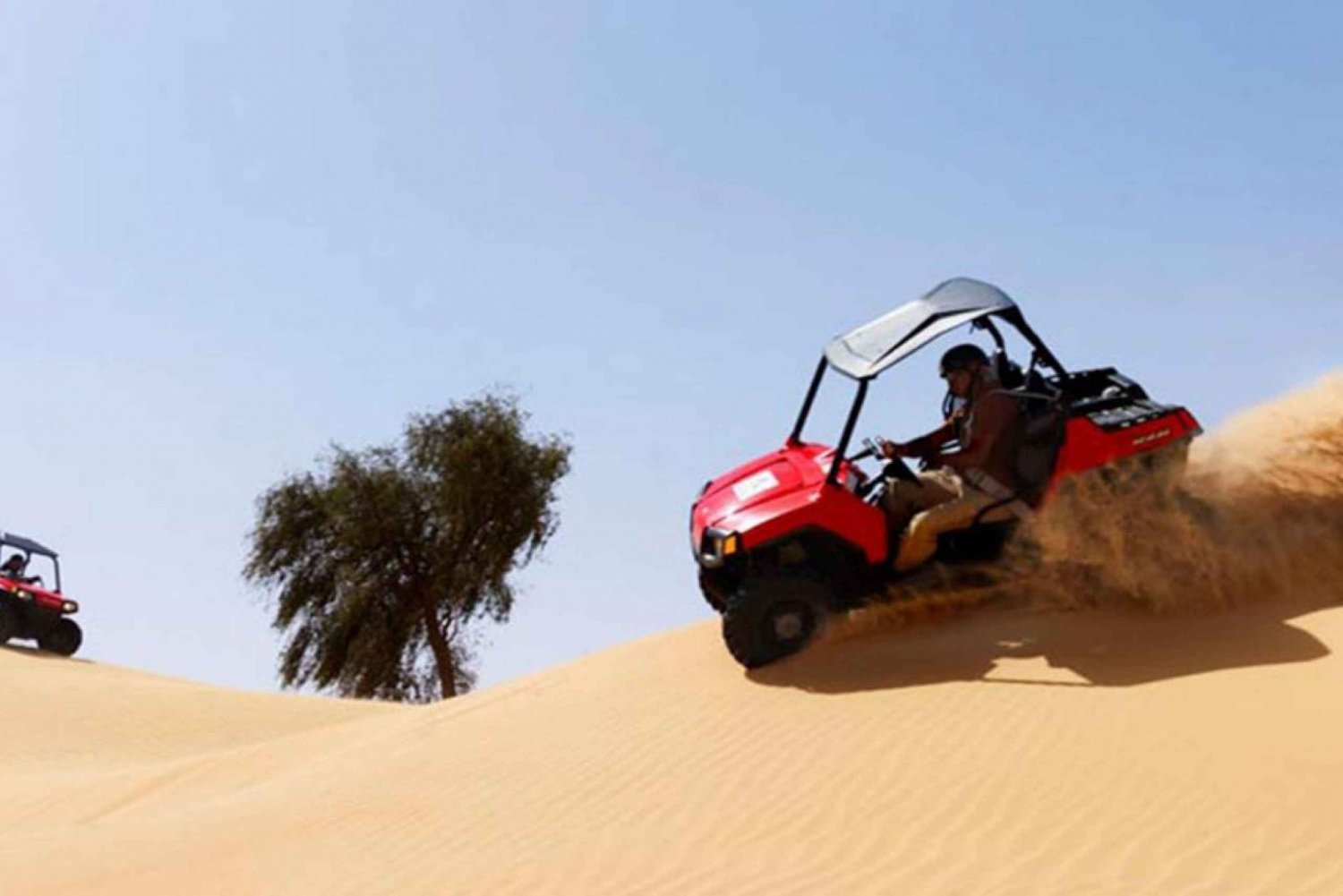 Dune Buggy Desert Safari from Sharm el Sheikh