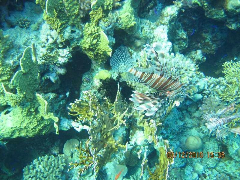 EmKa Divers