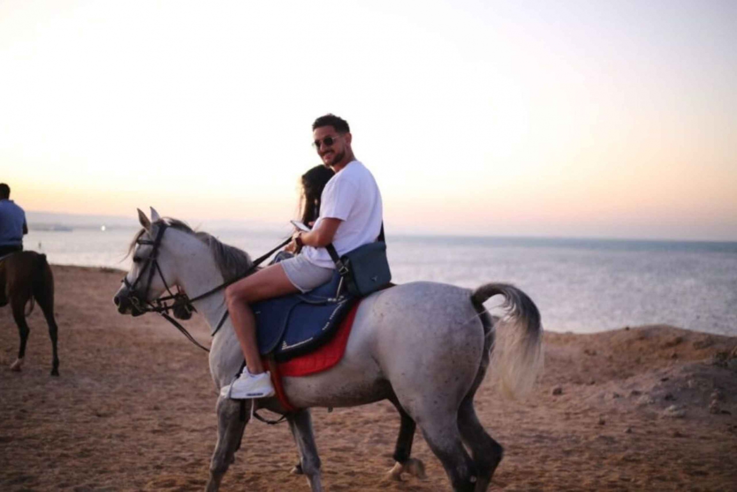 Explore Sharm El-Sheikh on Horseback or Camel +Transfer