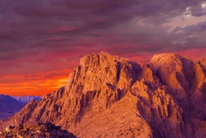 From Dahab: St. Catherine's Monastery and Mt. Sinai Tour