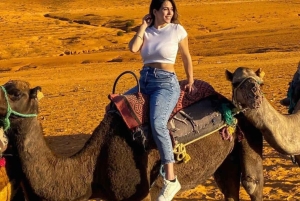 Из Марракеша: ужин на закате в пустыне Агафай и поездка на верблюде