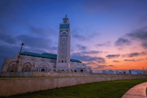Из Марракеша: экскурсия по Касабланке и мечеть Хасана II