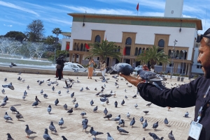 Из Марракеша: экскурсия по Касабланке и мечеть Хасана II