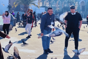 Из Марракеша: экскурсия по Касабланке и мечеть Хасана II