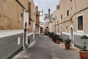 Из Марракеша: экскурсия по Касабланке и мечеть Хасана II