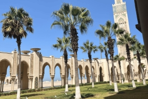 Из Марракеша: экскурсия по Касабланке и мечеть Хасана II