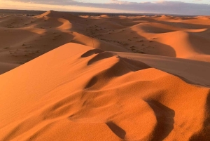 Из Мерзуги: ночная верблюжья прогулка по дюнам Эрг-Чебби