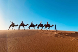 Из Мерзуги: ночная верблюжья прогулка по дюнам Эрг-Чебби