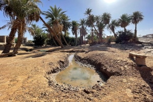 ИЗ МХАМИДА: Ночной тур по пустыне в Эрг-Чигага на верблюдах 4x4