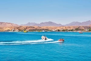 From Sharm: ATV Safari, Parasail, Glass Boat and Watersports