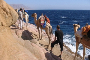 De Sharm: Passeio de um dia em Dahab com Safári no Deserto e Passeio de Camelo