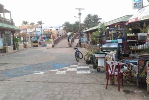 Из Шарма: однодневная поездка в Дахаб с сафари по пустыне и поездкой на верблюде