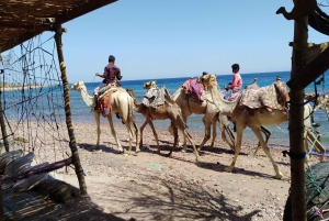 Из Шарма: однодневная поездка в Дахаб с сафари по пустыне и поездкой на верблюде