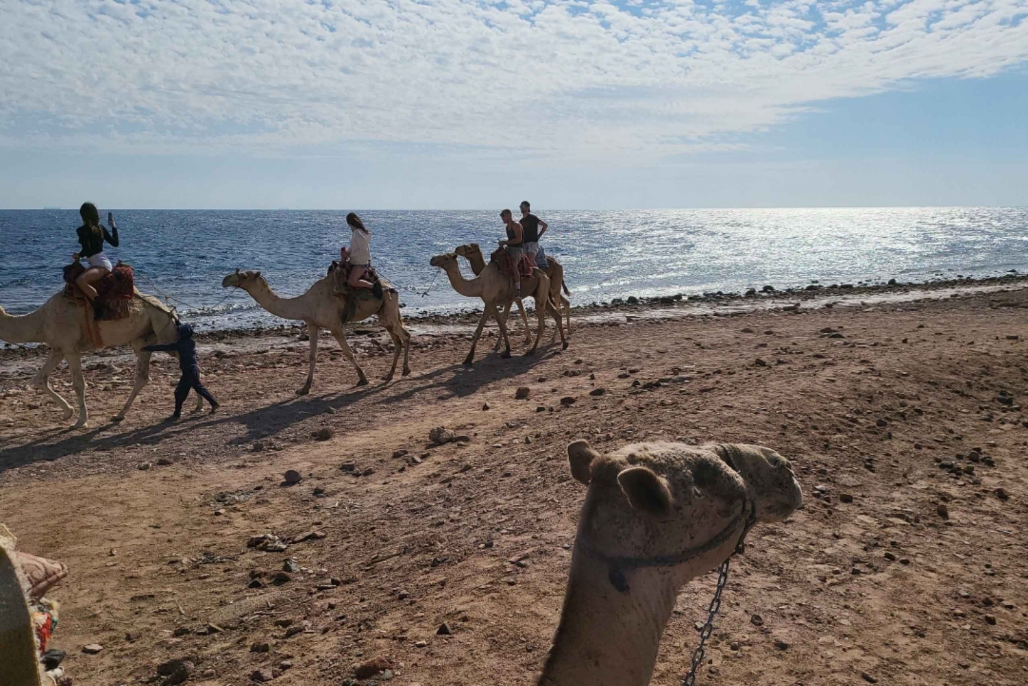From Sharm: Dahab, Jeep, Canyon, Camel, Quad & Snorkel Tour