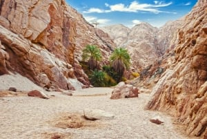 Sharm: 2-Days Dahab, Canyon, Safari, Snorkel w Camp Stay